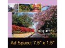 Desk Calendar DC 3